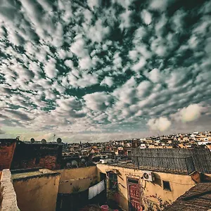 Rasia Fez